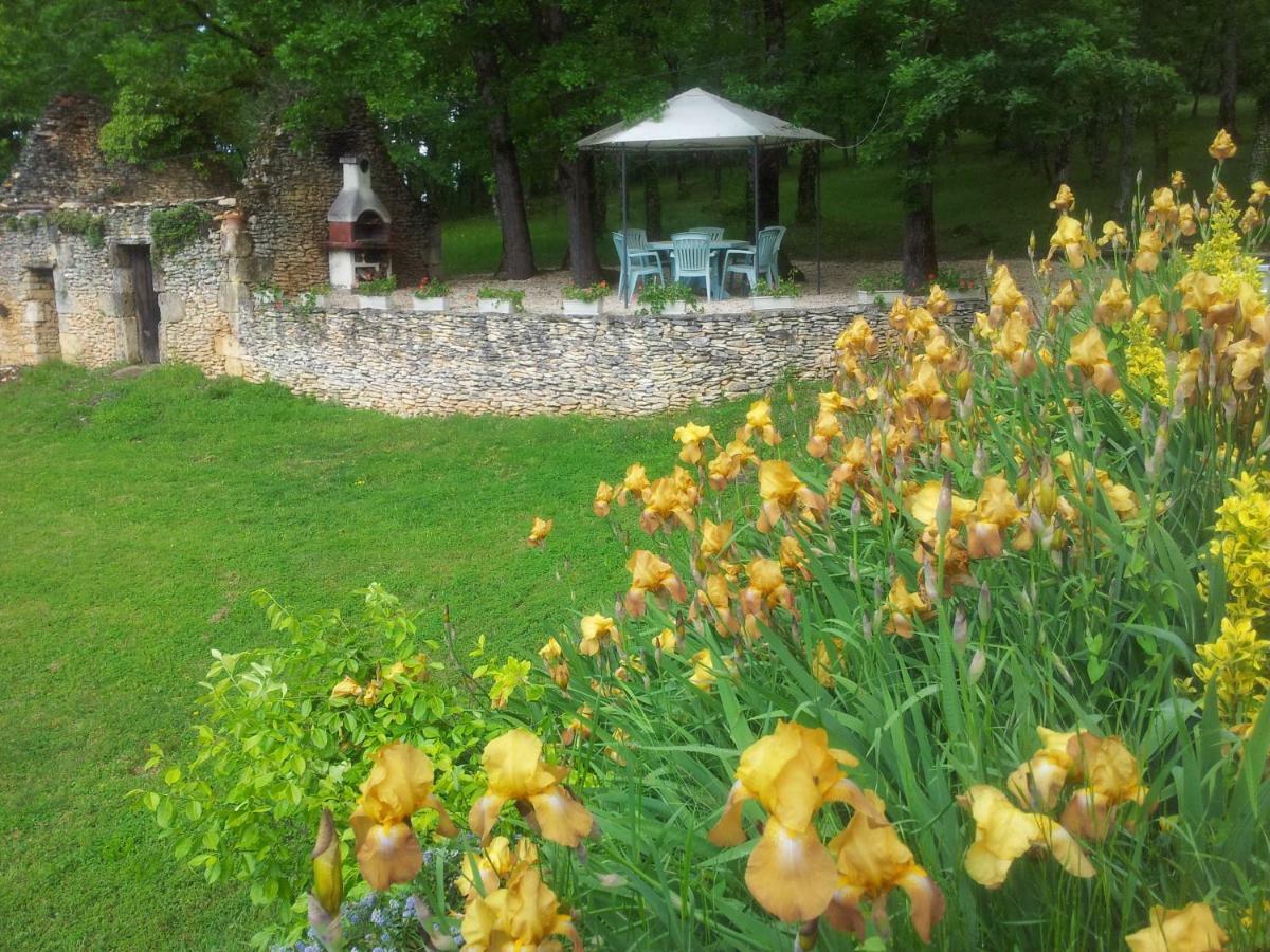 Bed and Breakfast Les Feuillantines Perigord Noir Сен-Сиприен Экстерьер фото